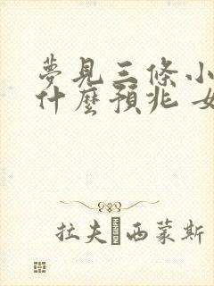 梦见三条小蛇是什么预兆 女性解梦