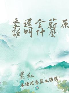 季迟金蔚原著小说叫什么