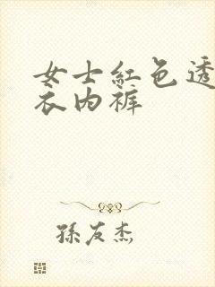 女士红色透明内衣内裤