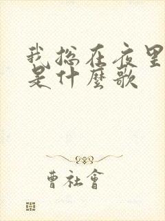 我总在夜里想你是什么歌