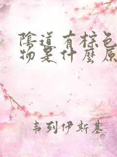 阴道有棕色分泌物是什么原因