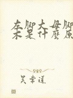 左脚大母脚趾麻木是什么原因