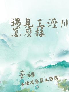 遇见王沥川结局怎么样