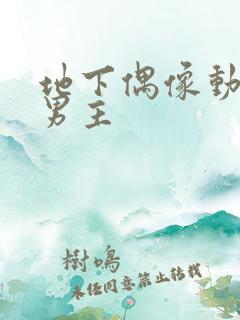 地下偶像动漫双男主