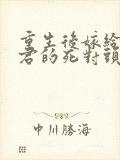 重生后嫁给渣夫君的死对头