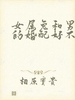 女属兔和男属蛇的婚配好不好