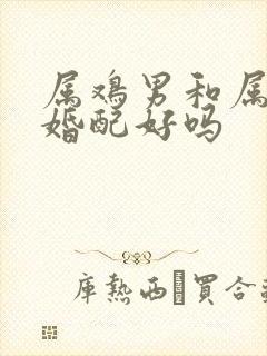 属鸡男和属虎女婚配好吗