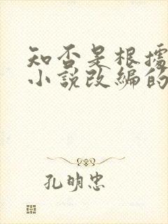 知否是根据什么小说改编的