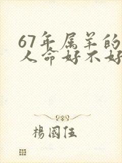 67年属羊的女人命好不好