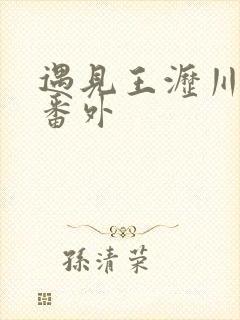 遇见王沥川完整番外