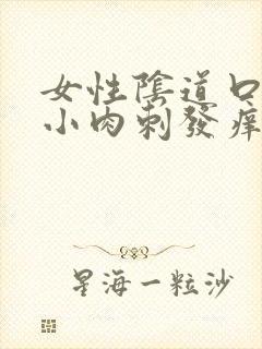 女性阴道口有些小肉刺发痒