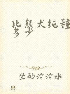 比熊犬纯种价格多少