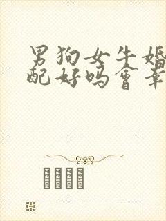 男狗女牛婚姻相配好吗会幸福吗