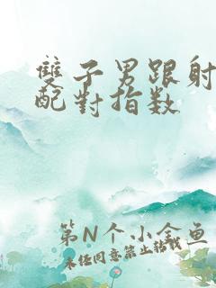 双子男跟射手女配对指数