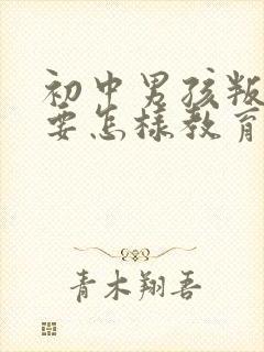 初中男孩叛逆期要怎样教育或开导呢