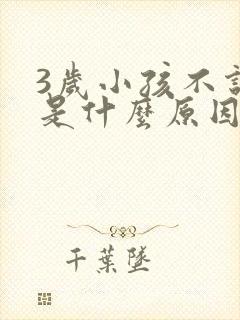 3岁小孩不说话是什么原因造成的