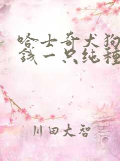 哈士奇犬狗多少钱一只纯种