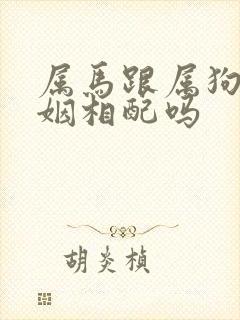 属马跟属狗的婚姻相配吗