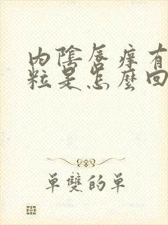 内阴唇痒有小颗粒是怎么回事