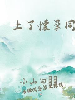 上了怀孕同事萍