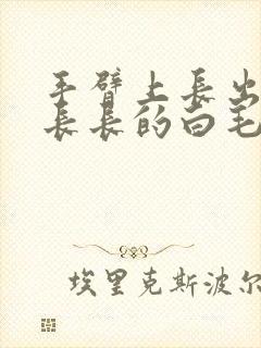 手臂上长出一根长长的白毛