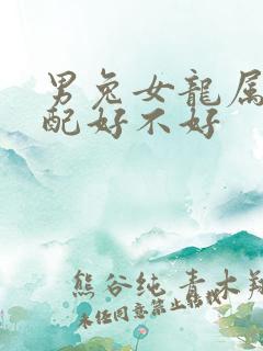 男兔女龙属相婚配好不好