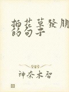 拍花草发朋友圈的句子