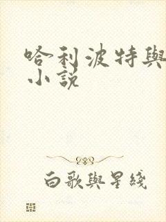 哈利波特与密室小说