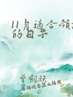 11月适合领证的日子