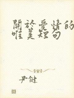 关于爱情的句子唯美短句