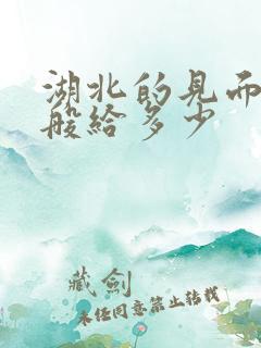 湖北的见面礼一般给多少