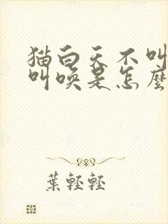 猫白天不叫晚上叫唤是怎么回事