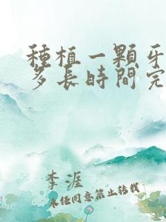 种植一颗牙需要多长时间完成