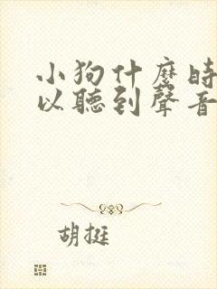 小狗什么时候可以听到声音