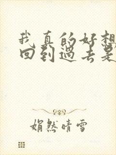 我真的好想能够回到过去是什么歌