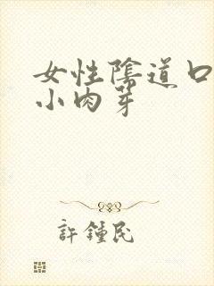 女性阴道口很多小肉芽