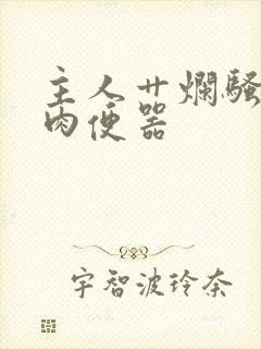 主人艹烂骚母狗肉便器