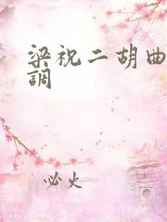 梁祝二胡曲谱d调