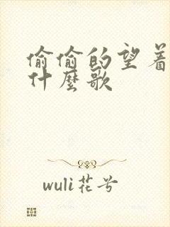 偷偷的望着你是什么歌