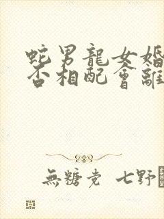 蛇男龙女婚姻是否相配会离婚吗