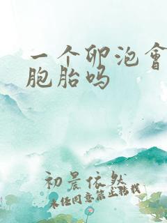 一个卵泡会怀双胞胎吗