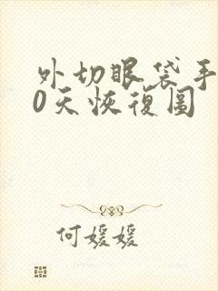 外切眼袋手术10天恢复图