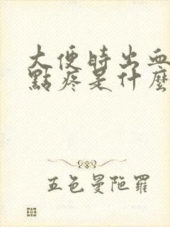 大便时出血还有点疼是什么原因