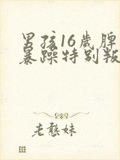 男孩16岁脾气暴躁特别叛逆