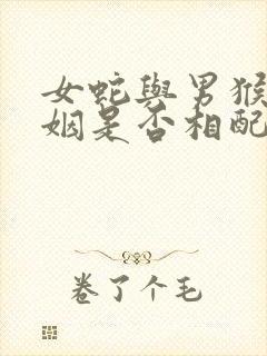 女蛇与男猴的婚姻是否相配