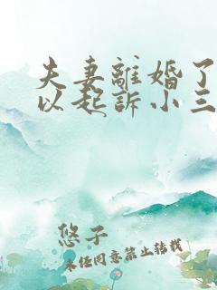 夫妻离婚了还可以起诉小三吗