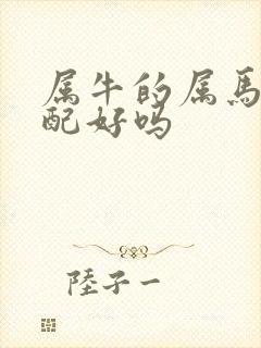 属牛的属马的婚配好吗