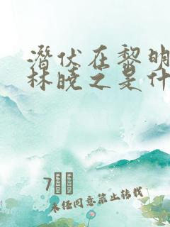 潜伏在黎明之前林晓之是什么人