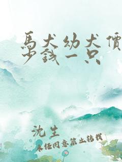 马犬幼犬价格多少钱一只