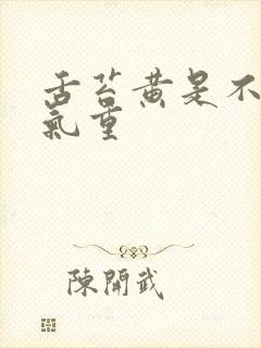 舌苔黄是不是湿气重